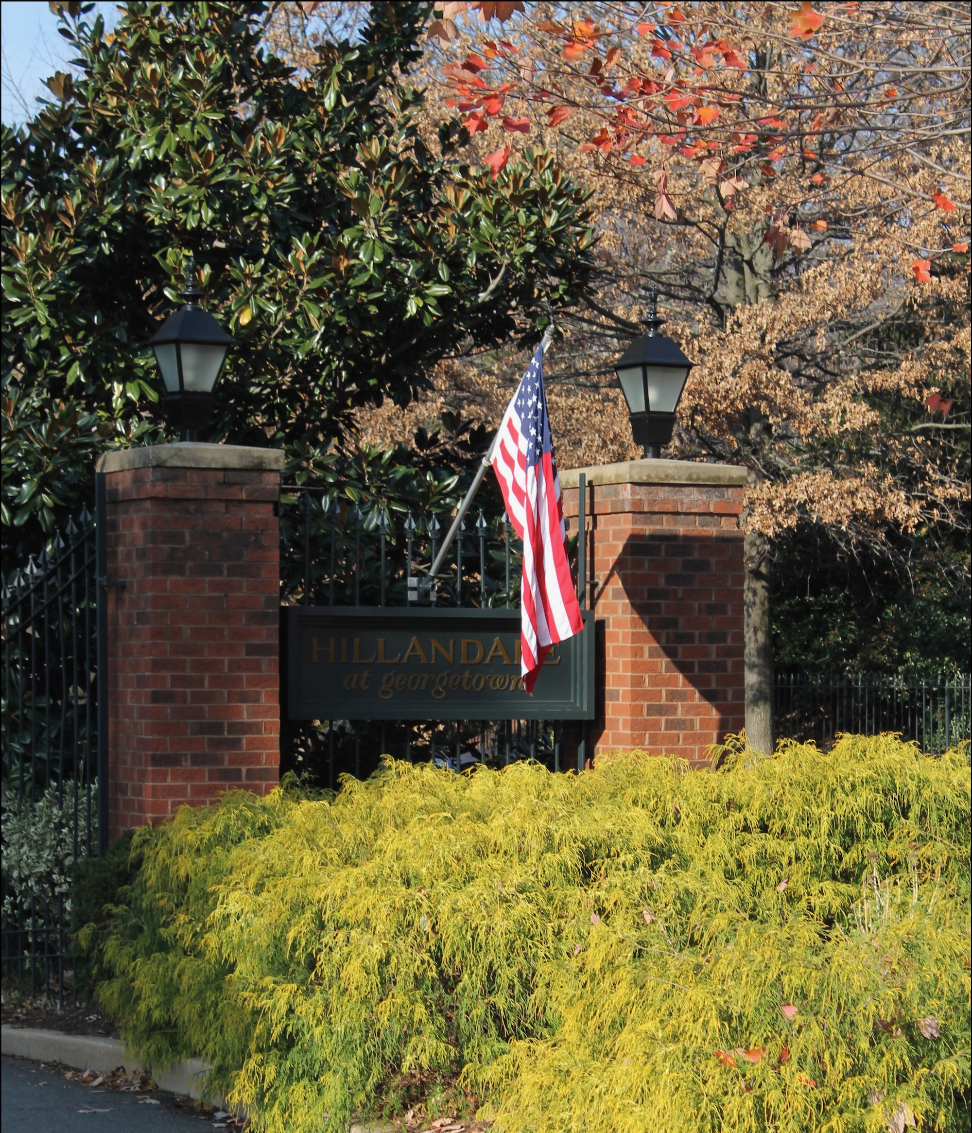 A Tour of Hillandale with Cynthia Howar The Dish